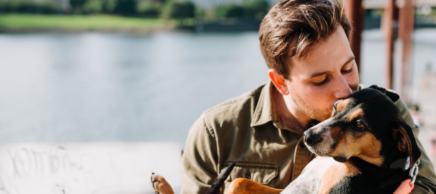 Testimonial by Dr Bernauer